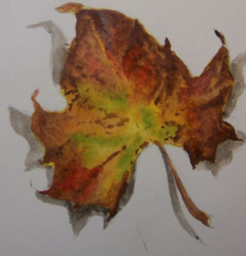 Fall leaf 11-10