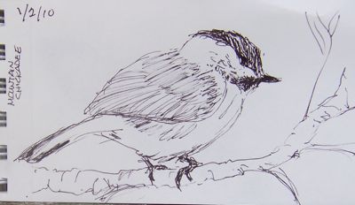 Drawing-bird-1-20